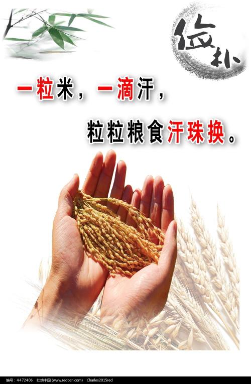 萨尔布吕肯音乐学院 Market Development Degrees